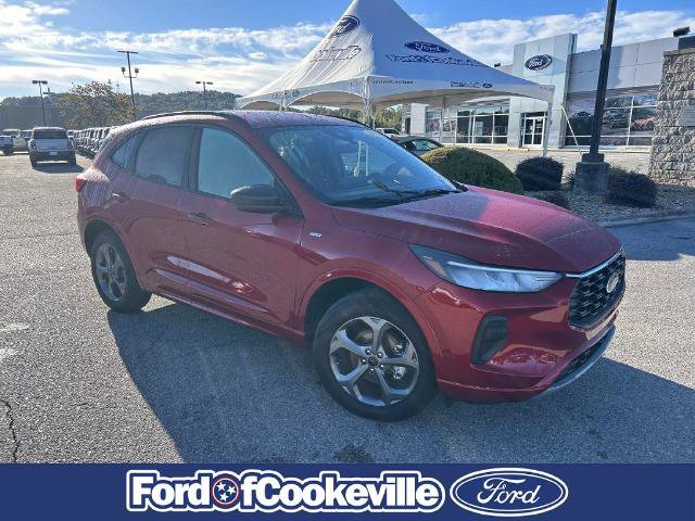 Certified 2024 Ford Escape ST-Line w/ Tech Pack #1 AWD/4WD image 2