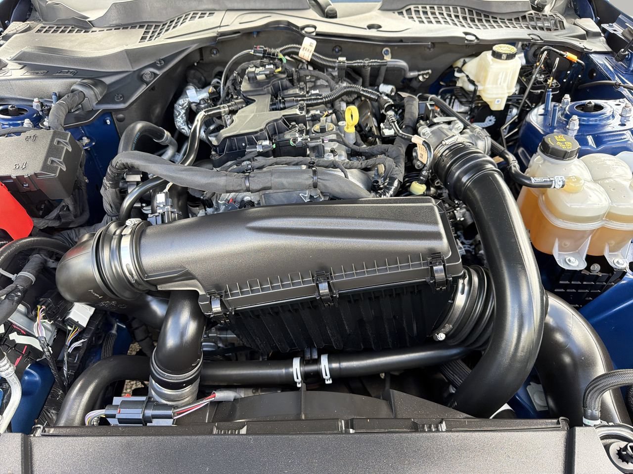 Certified 2024 Ford Mustang Coupe RWD image 9
