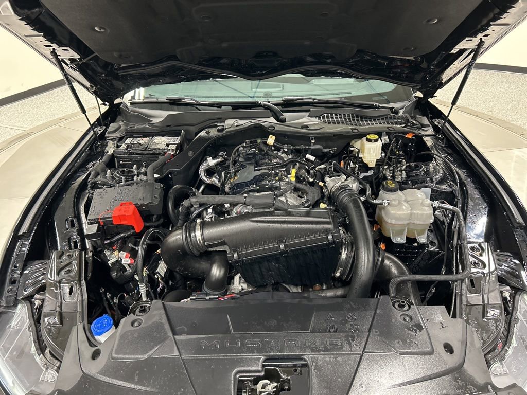 Certified 2024 Ford Mustang Premium image 30
