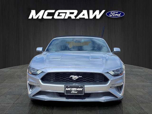 Certified 2023 Ford Mustang Premium RWD image 2