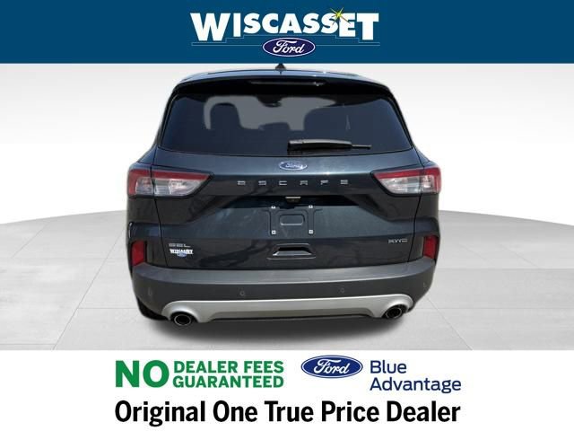 Certified 2022 Ford Escape SEL image 4