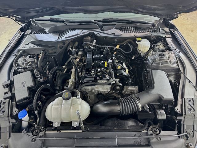 Certified 2023 Ford Mustang Coupe w/ Equipment Group 101A image 29