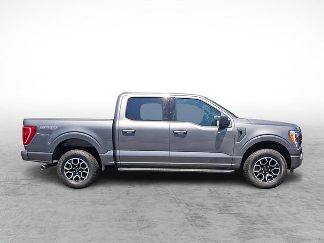 Certified 2023 Ford F150 XLT w/ Equipment Group 302A High AWD/4WD image 7
