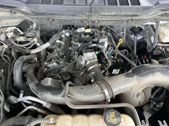 Certified 2021 Ford F150 XL w/ Equipment Group 101A High RWD image 26