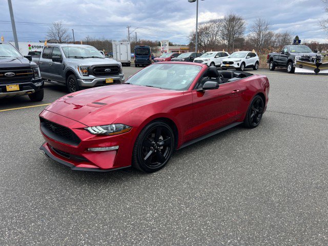 Certified 2023 Ford Mustang Premium w/ Equipment Group 201A RWD video 2
