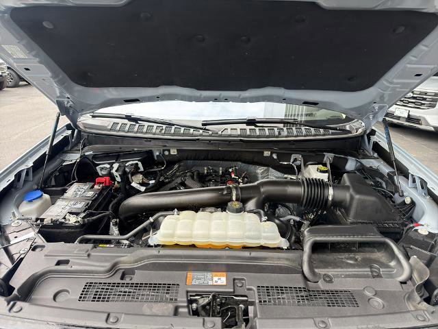 Certified 2025 Ford Expedition Active image 9