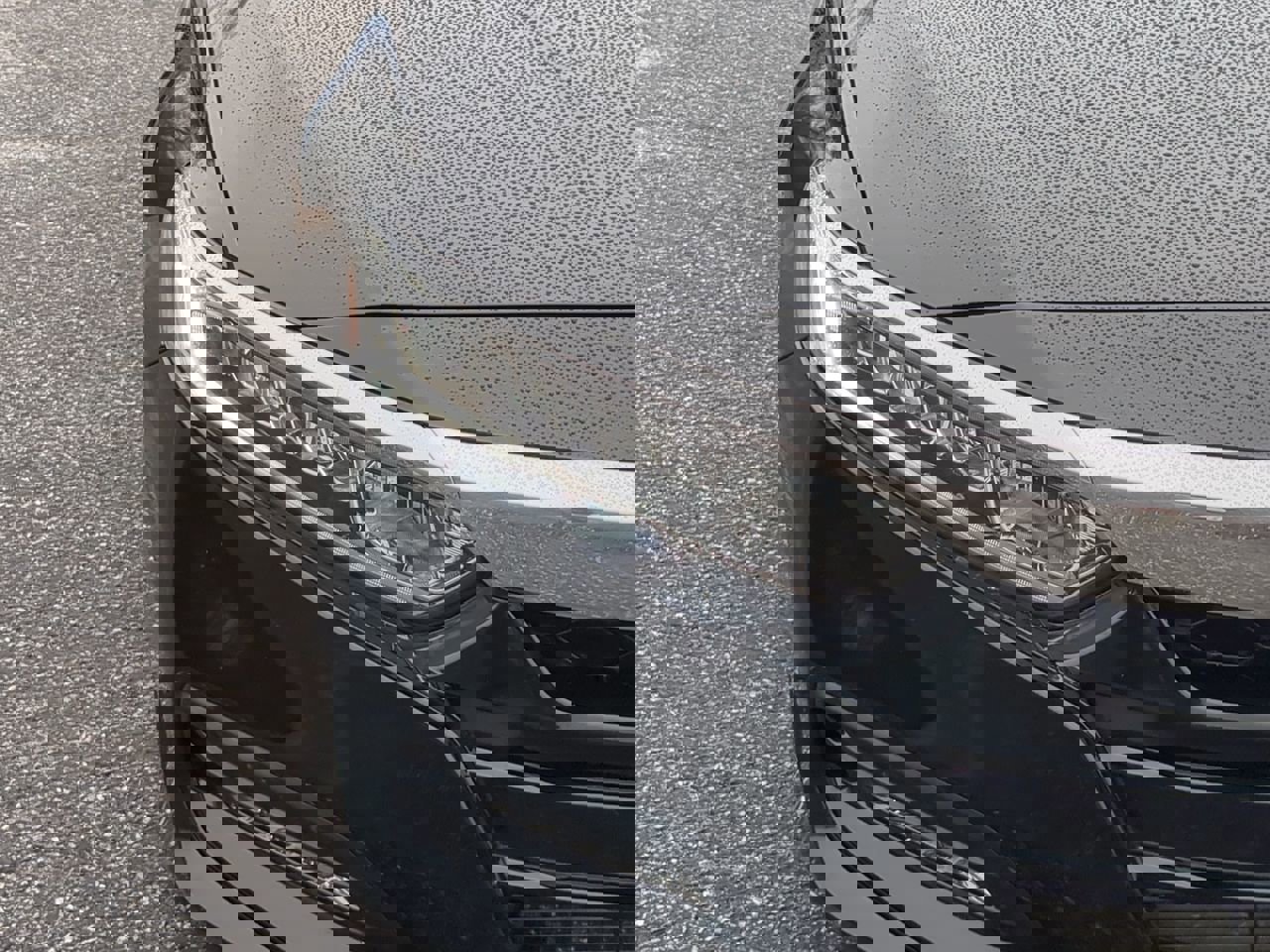 Used 2020 Honda Accord EX-L image 8