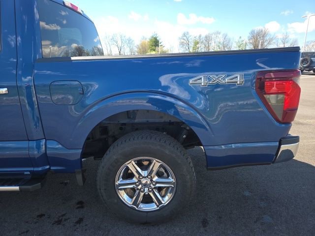 Certified 2025 Ford F150 XLT w/ Equipment Group 301A Standard image 12