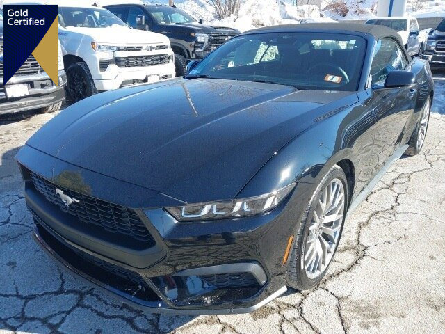 Certified 2024 Ford Mustang Premium image 1