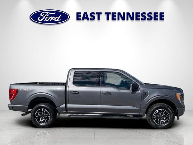 Certified 2022 Ford F150 XLT w/ Equipment Group 302A High image 6