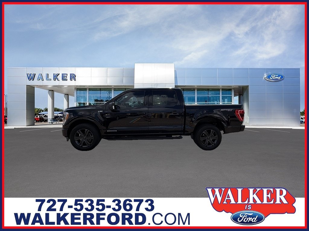 Certified 2023 Ford F150 XLT w/ Equipment Group 302A High