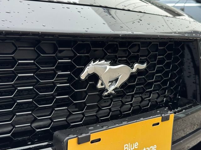 Certified 2024 Ford Mustang GT Premium RWD image 37