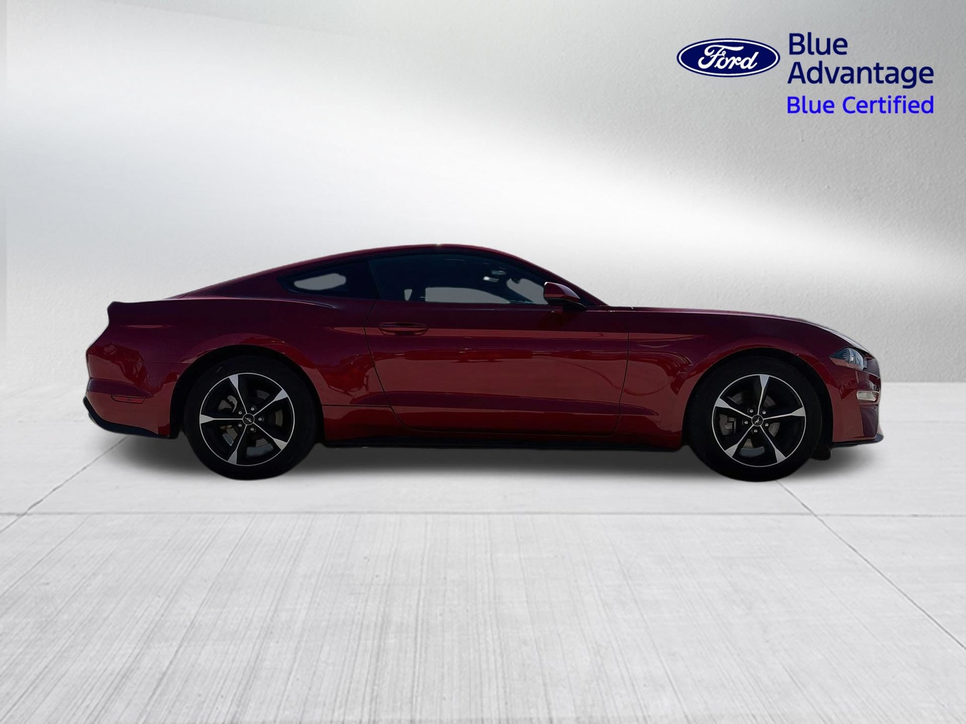 Certified 2023 Ford Mustang Coupe RWD image 5