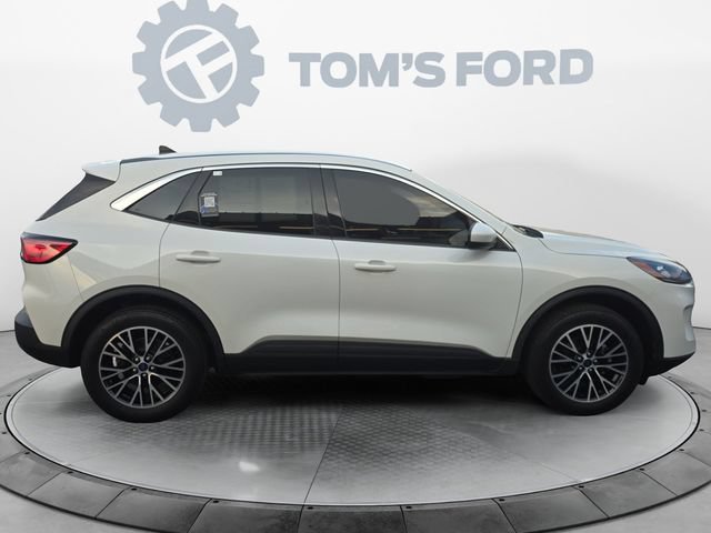 Certified 2022 Ford Escape SEL w/ Technology Package FWD image 7