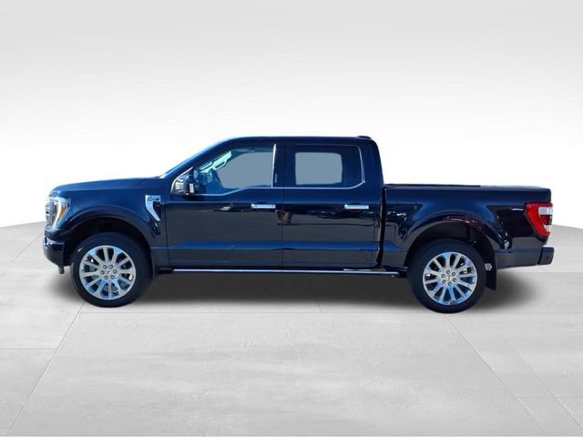 Certified 2021 Ford F150 Limited image 3