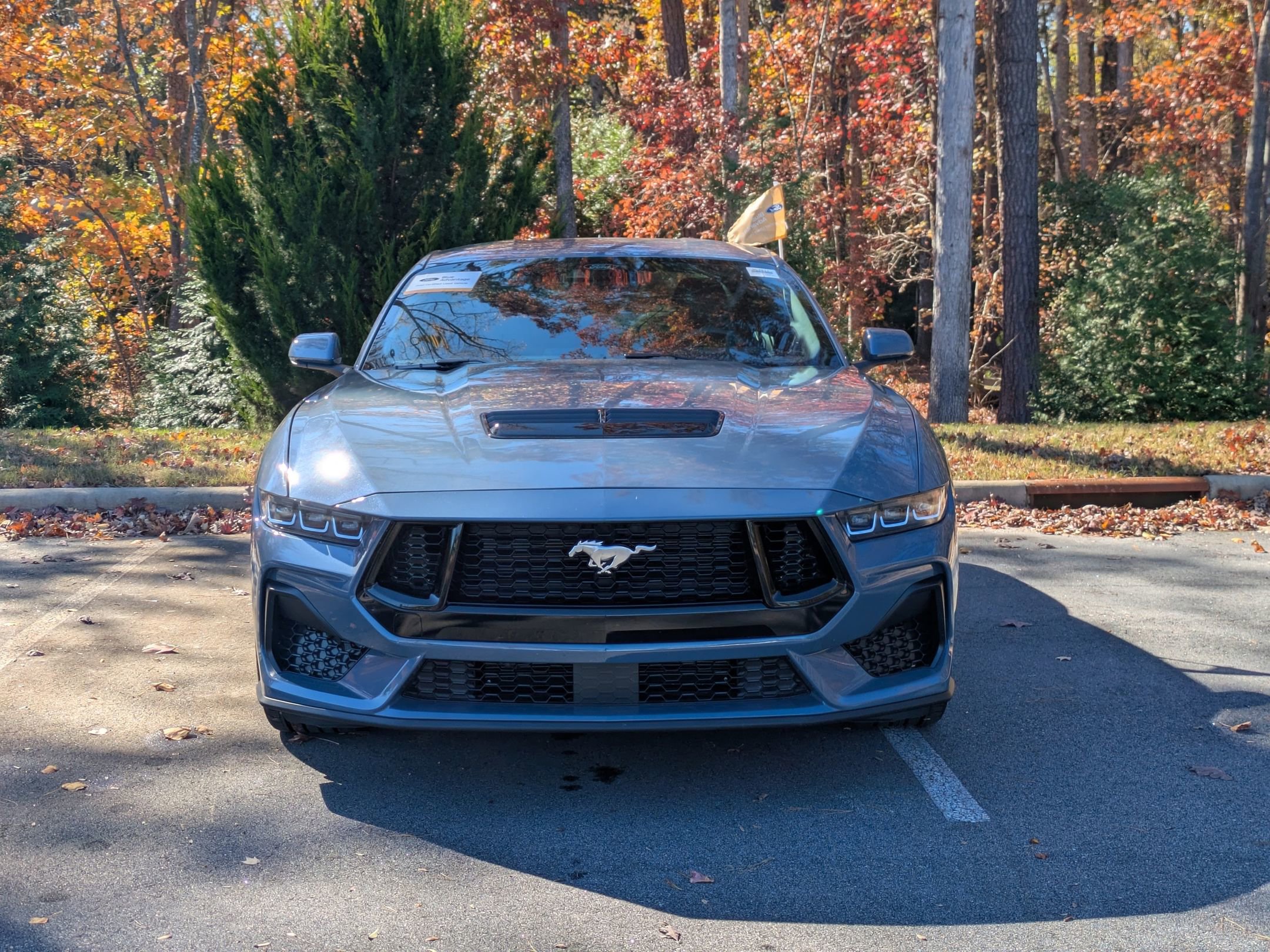 Certified 2024 Ford Mustang GT Premium image 7