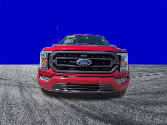 Certified 2023 Ford F150 XLT w/ Equipment Group 302A High RWD image 9