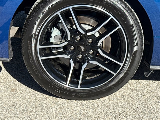 Certified 2022 Ford Mustang GT w/ Equipment Group 301A image 10