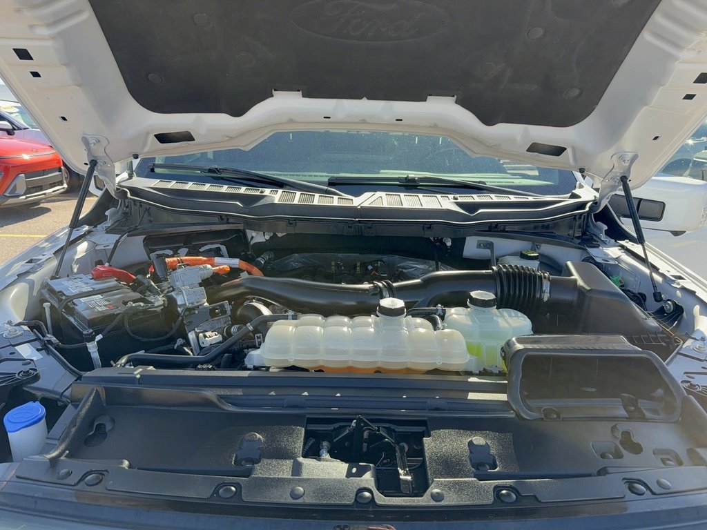 Certified 2024 Ford F150 XLT w/ Equipment Group 302A MID image 39