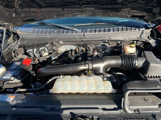 Certified 2024 Ford Expedition XLT image 6