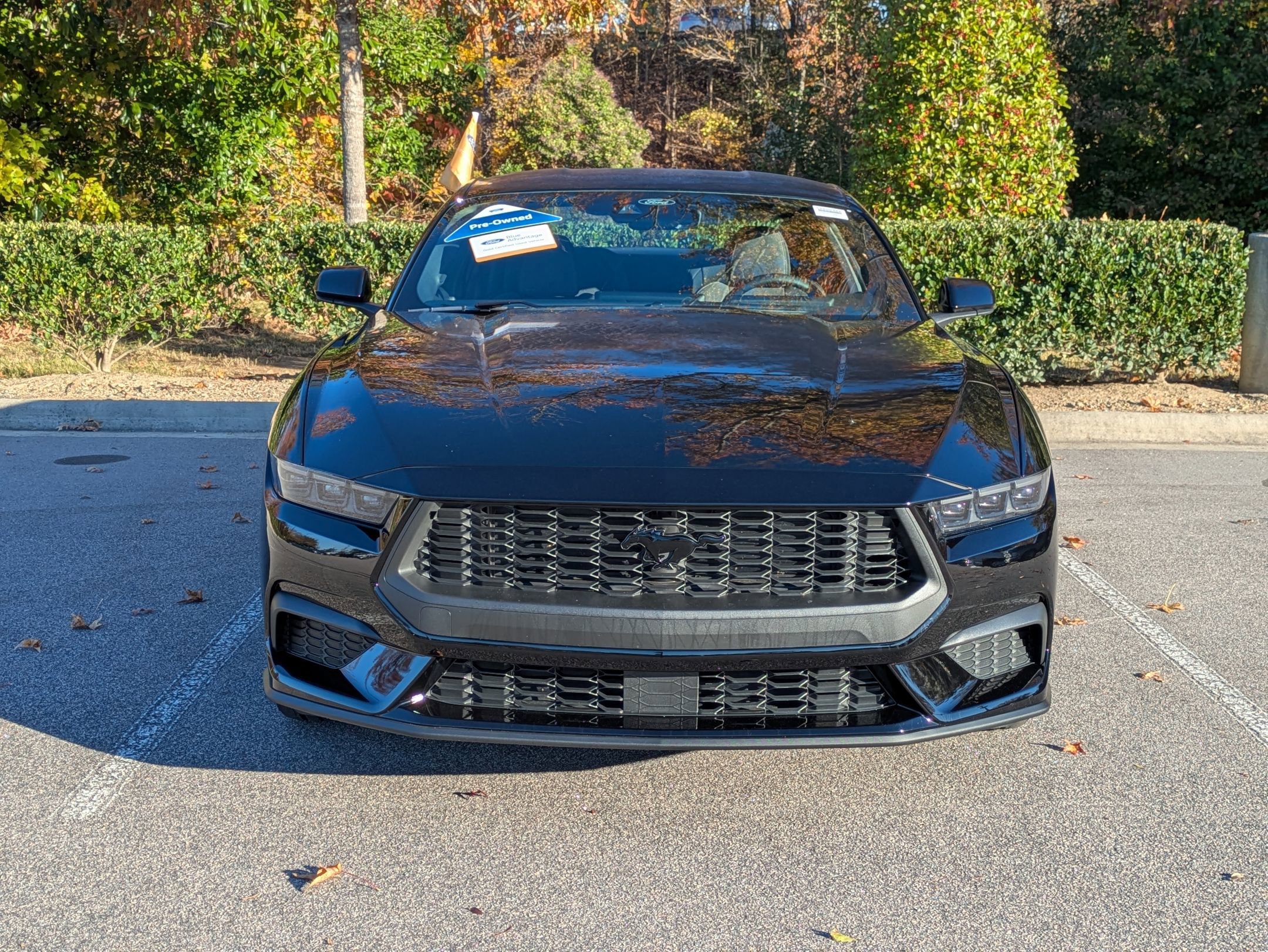 Certified 2025 Ford Mustang Coupe w/ Mustang Nite Pony Package image 9