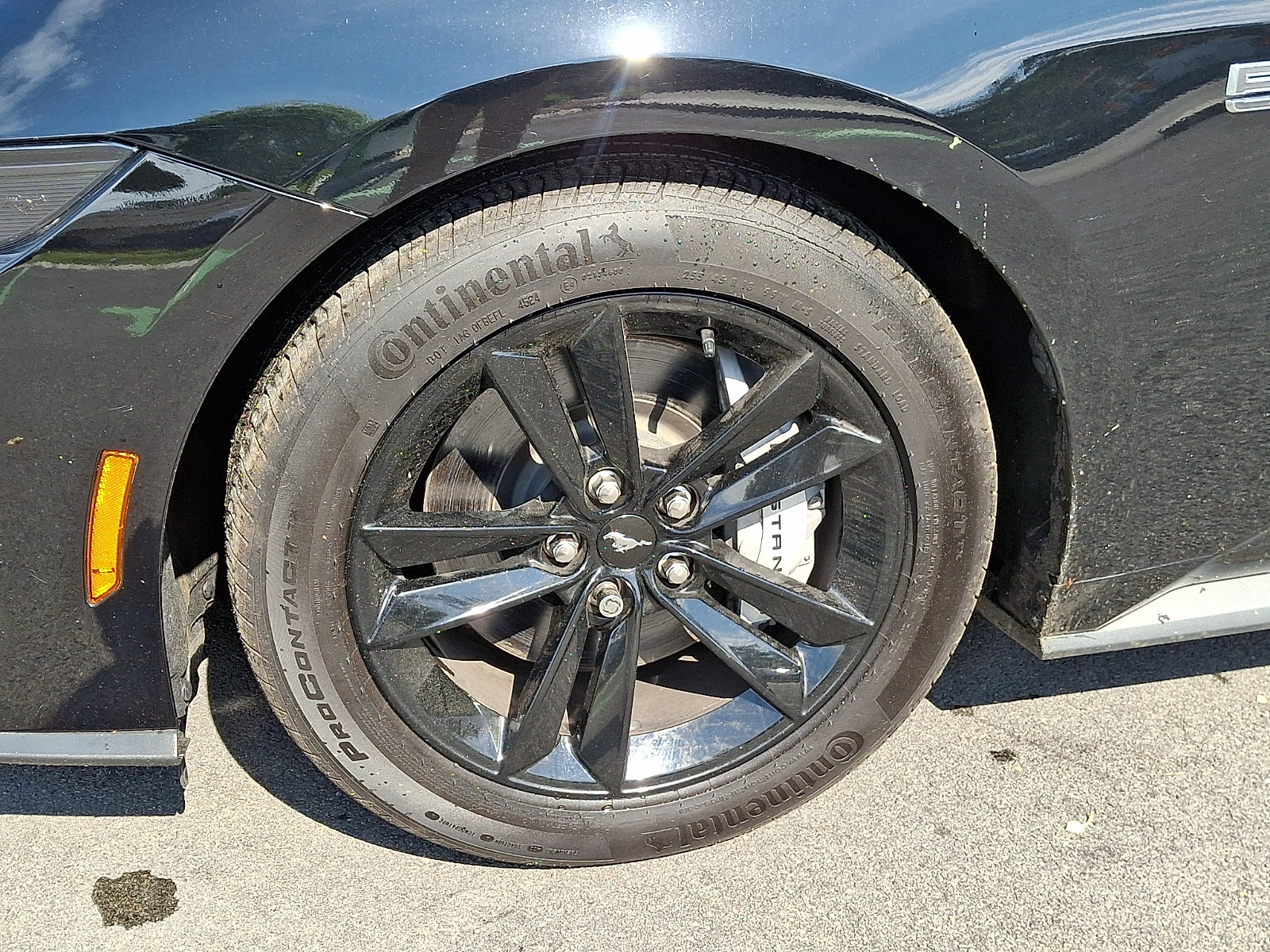 Certified 2025 Ford Mustang GT RWD image 9