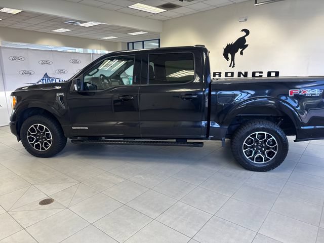 Certified 2021 Ford F150 XLT w/ Equipment Group 302A High AWD/4WD image 6
