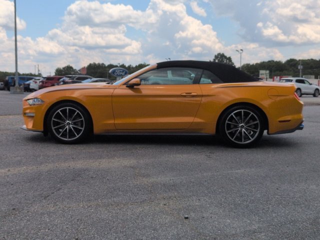 Certified 2019 Ford Mustang Premium w/ Equipment Group 201A RWD image 7