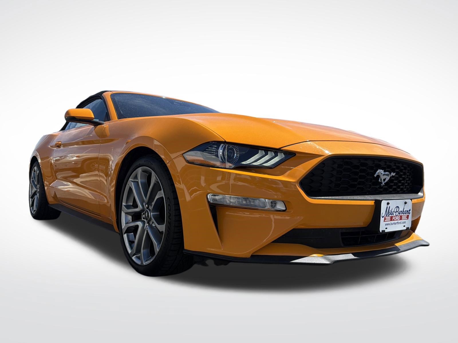 Certified 2018 Ford Mustang Premium w/ Equipment Group 201A RWD image 5