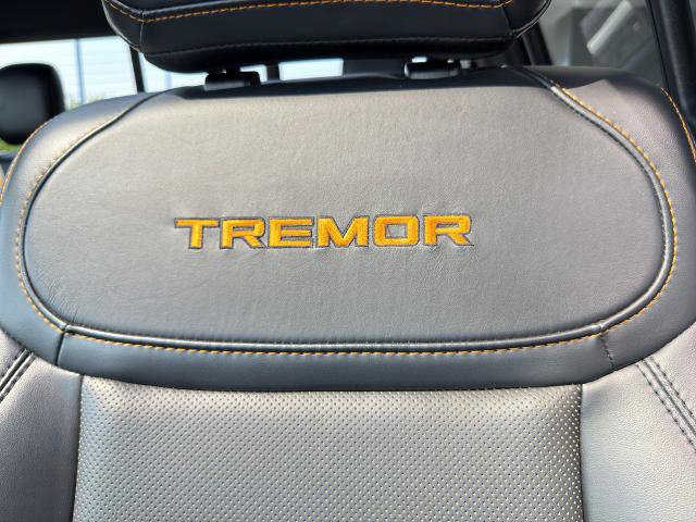 Certified 2024 Ford F150 Tremor w/ Equipment Group 402A High AWD/4WD image 24