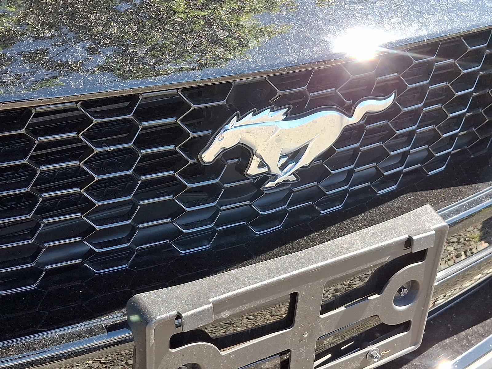 Certified 2025 Ford Mustang GT RWD image 4