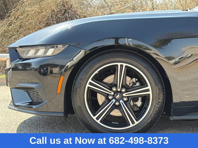 Certified 2024 Ford Mustang Premium image 5