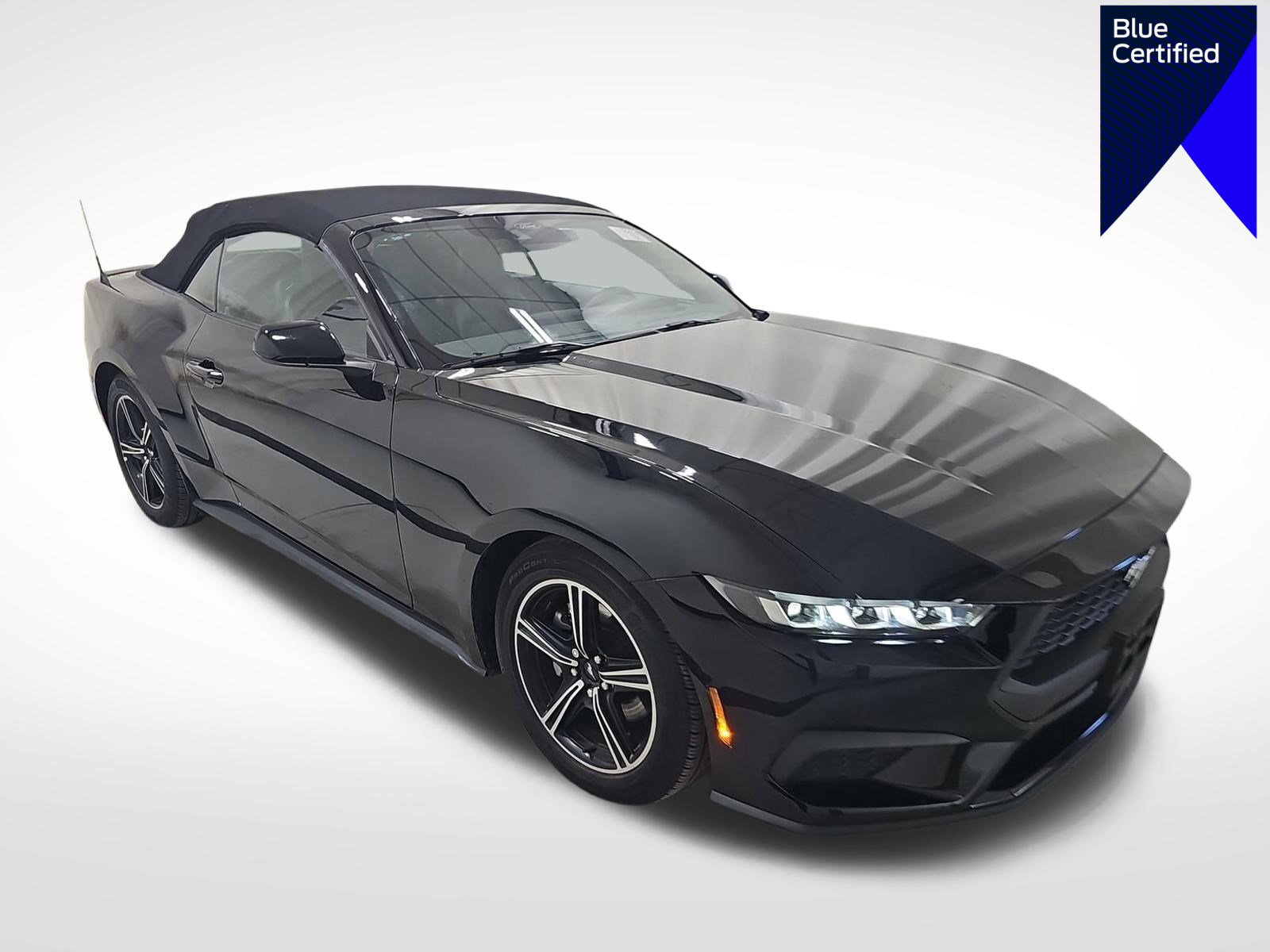 Certified 2024 Ford Mustang Premium image 1