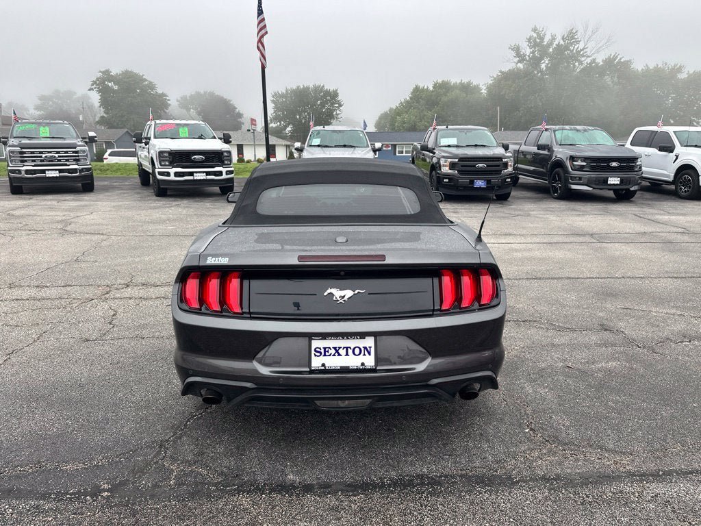 Certified 2019 Ford Mustang Convertible w/ Ecoboost Performance Package RWD image 6
