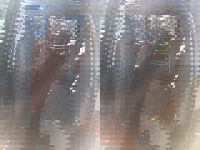 Used 2019 Toyota Tundra 1794 Edition image 9