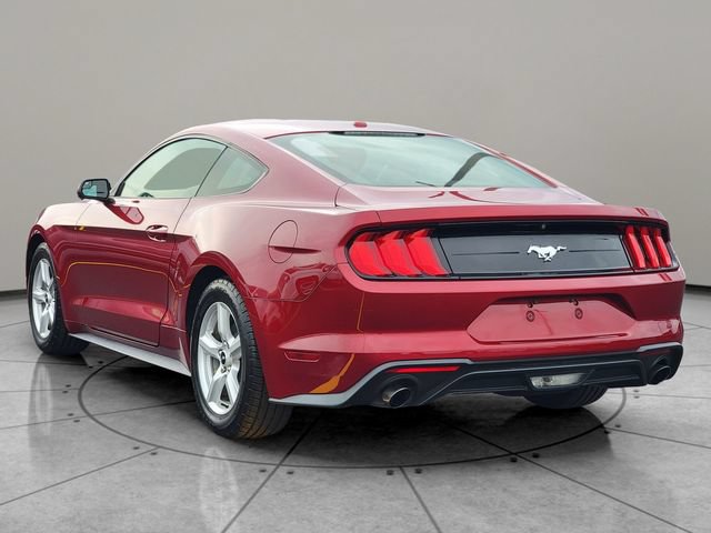 Certified 2019 Ford Mustang Coupe RWD image 10