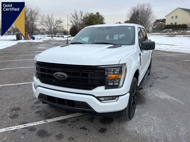 Certified 2023 Ford F150 XLT w/ Equipment Group 302A High image 1