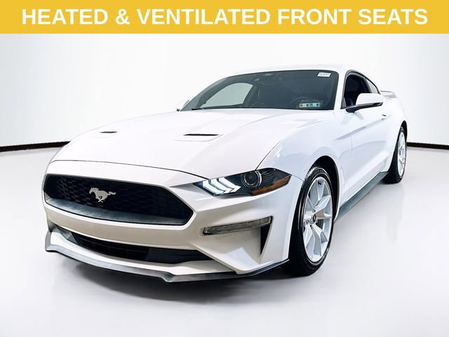 Certified 2023 Ford Mustang Premium w/ Equipment Group 201A image 3