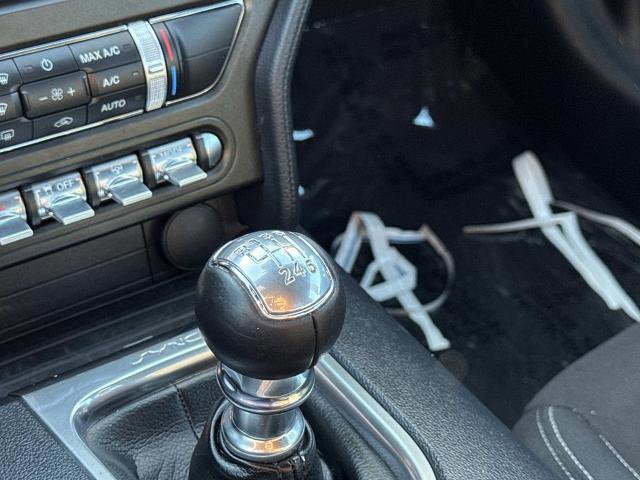 Certified 2021 Ford Mustang EcoBoost w/ Equipment Group 101A image 24