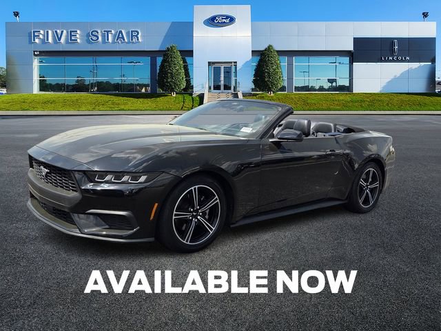 Certified 2025 Ford Mustang Premium image 3