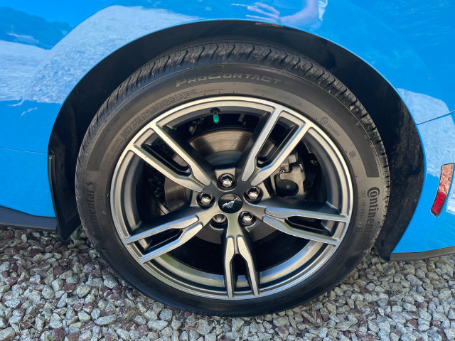 Certified 2024 Ford Mustang Coupe RWD image 16
