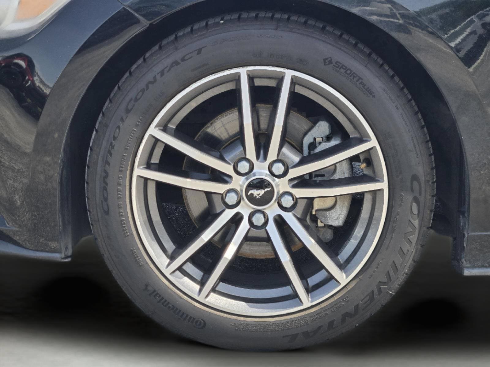 Certified 2017 Ford Mustang Premium RWD image 10