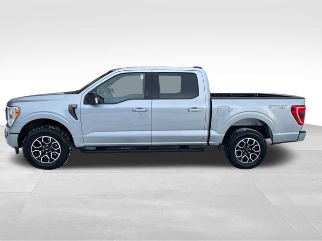 Certified 2023 Ford F150 XLT w/ Equipment Group 302A High AWD/4WD image 6