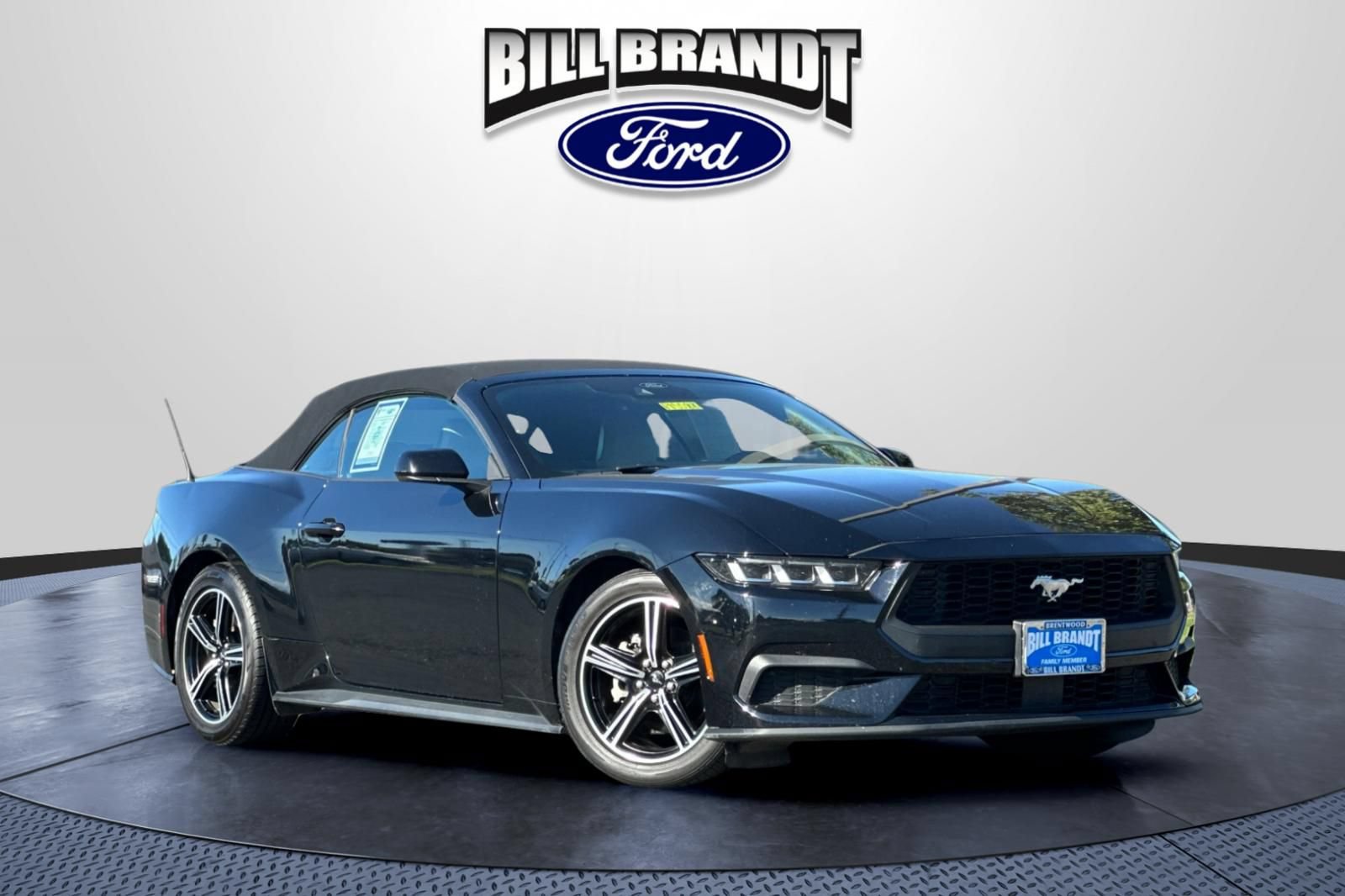 Certified 2024 Ford Mustang Premium RWD image 2