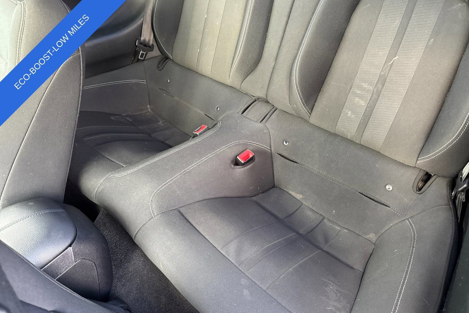 Certified 2019 Ford Mustang EcoBoost image 13