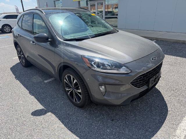 Certified 2022 Ford Escape SEL w/ SEL Stealth AWD Package image 2