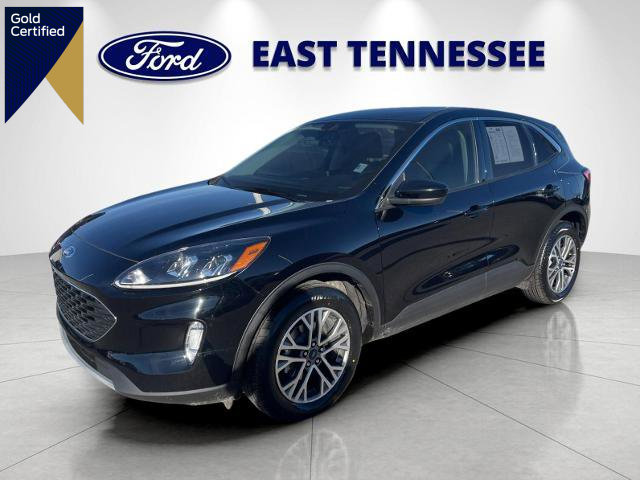 Certified 2022 Ford Escape SEL image 1