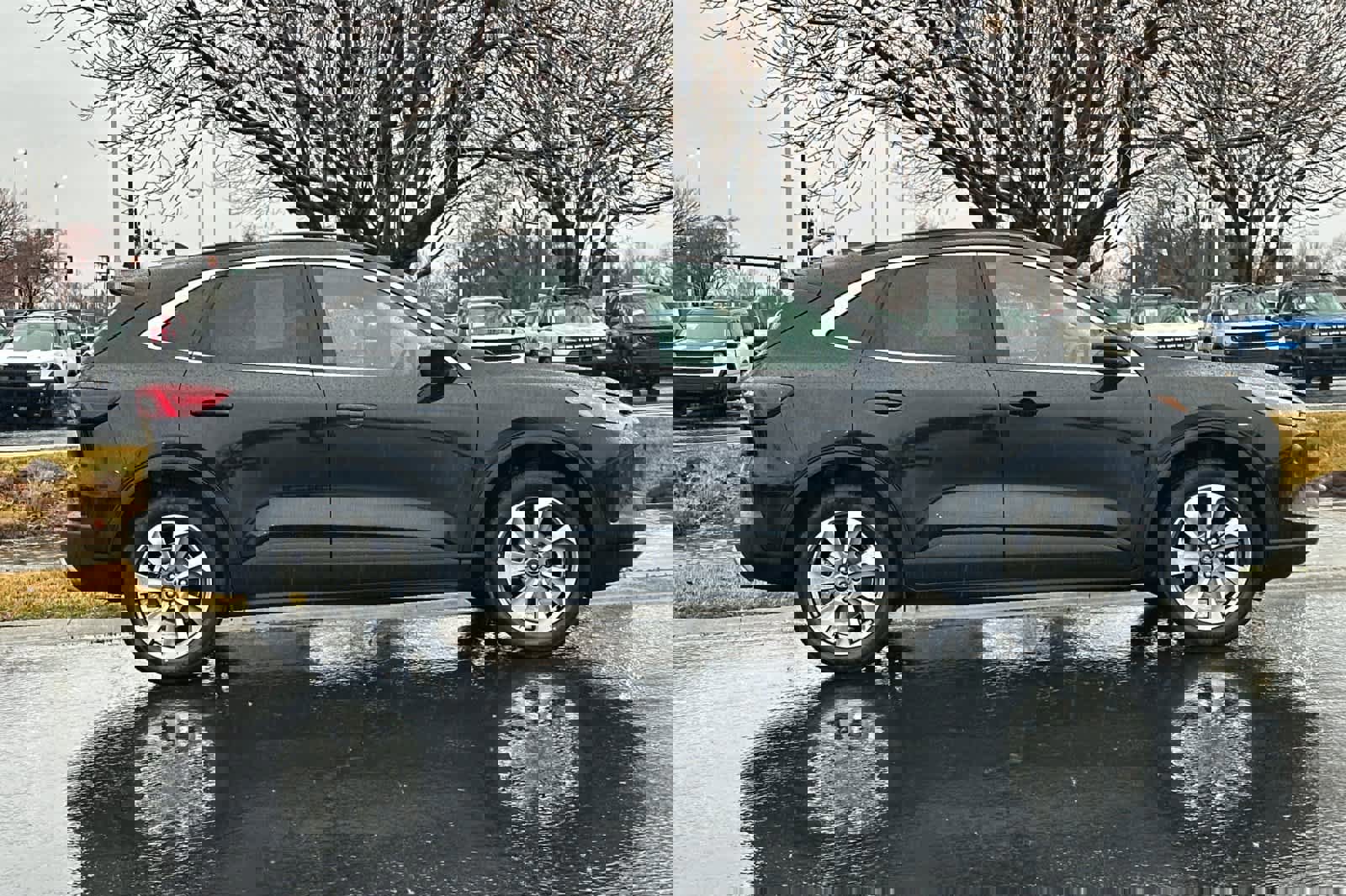 Certified 2025 Ford Escape Platinum image 6