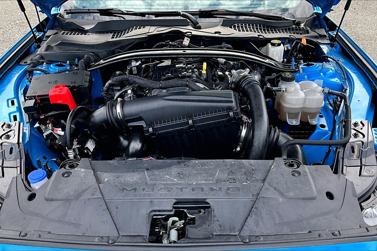 Certified 2025 Ford Mustang Premium RWD image 10
