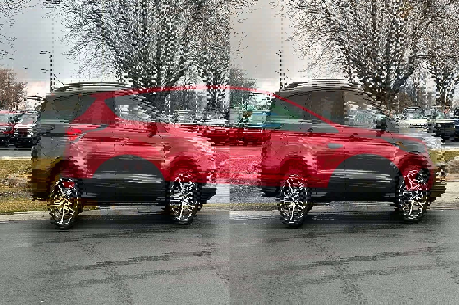 Certified 2019 Ford Escape SEL image 6